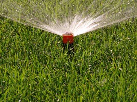 kliknut�m sa vr�tite na z�vlahy - So�s