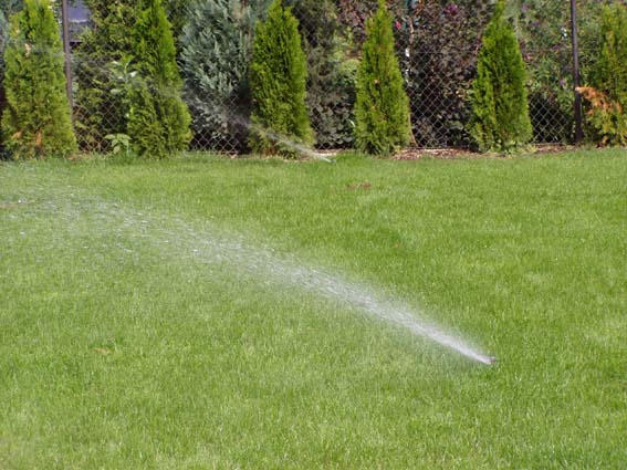 kliknut�m sa vr�tite na z�vlahy - So�s