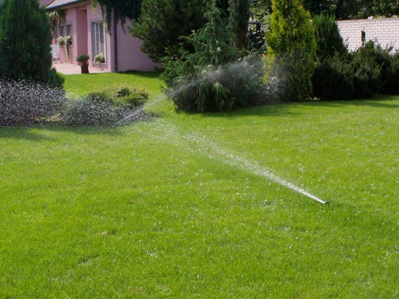 kliknut�m sa vr�tite na z�vlahy - So�s