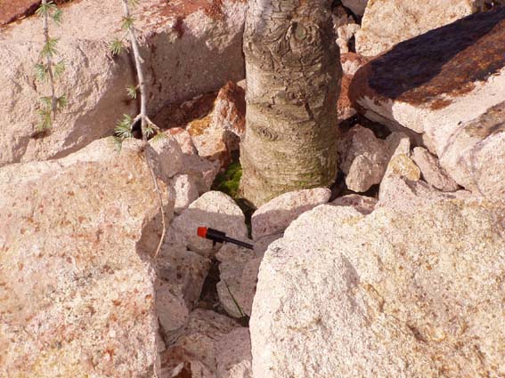 kliknut�m sa vr�tite na z�vlahy - So�s