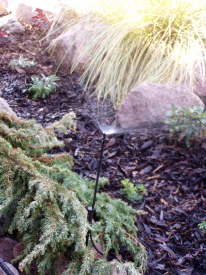 kliknut�m sa vr�tite na z�vlahy - So�s