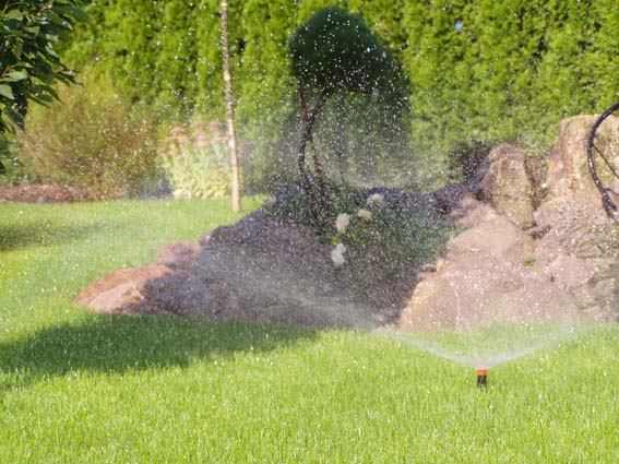 kliknut�m sa vr�tite na z�vlahy - So�s