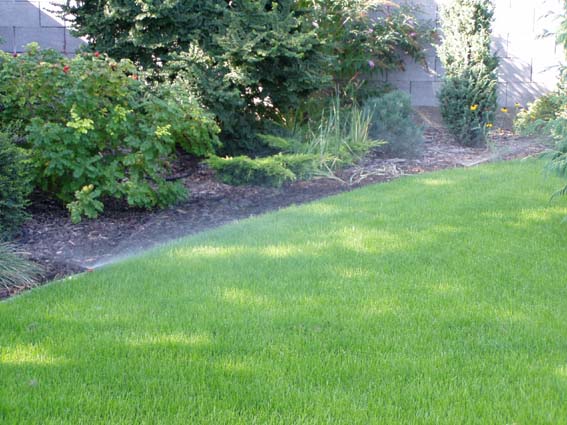 kliknut�m sa vr�tite na z�vlahy - So�s